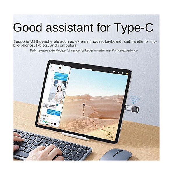 تبدیل Type-C - OTG به USB یوگرین 40702-US248