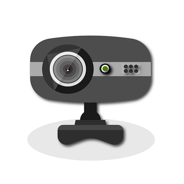 وب کم استریم (گیمینگ)