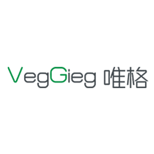 وگیگ / VegGieg